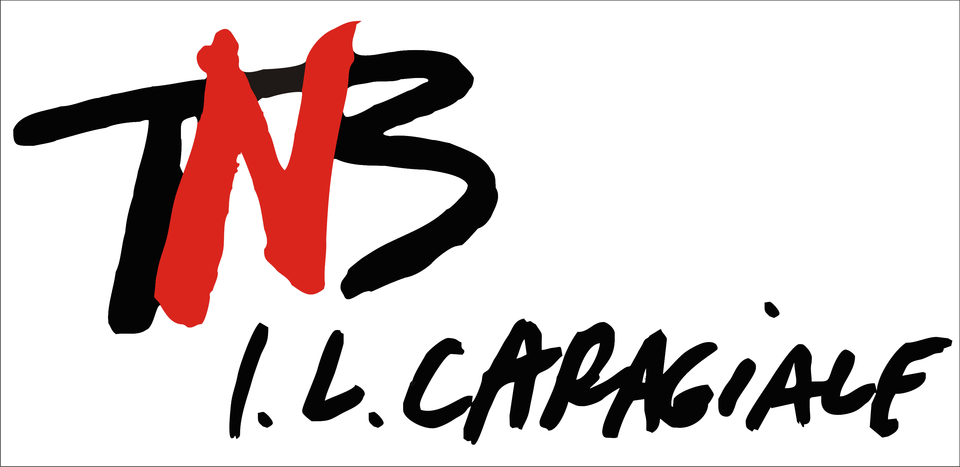 TNB Logo